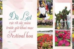 Đà Lạt rực rỡ sắc màu trước giờ khai mạc Festival hoa