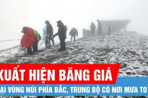 Vùng núi phía Bắc xuất hiện băng giá, Trung bộ có nơi mưa to