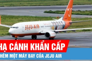 Thêm một máy bay của Jeju Air vừa phải hạ cánh khẩn cấp