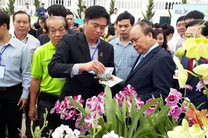 Anh Phan Thanh Sang, Chủ tịch Hiệp hội Hoa Đà Lạt giới thiệu với Thủ tướng về giống hoa lan mới