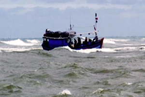 Tàu cá ngư dân đánh bắt gặp nạn giữa biển (ảnh minh họa)​