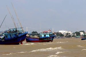 Đơn vị chức năng đang huy động lực lượng để "giải cứu" 2 con tàu đang mắc cạn tại cửa biển Diễn Đà (TP. Tuy Hòa, Phú Yên)