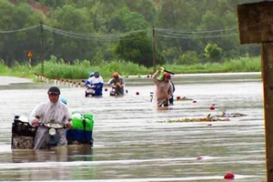 Phú Yên: Hàng trăm hộ dân chìm ngập trong biển lũ