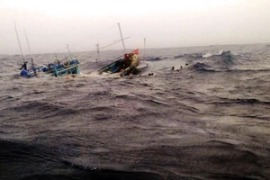 Tàu cá Bình Định chìm trên biển: Đã tìm thấy thi thể 2 ngư dân, 4 ngư dân vẫn mất tích