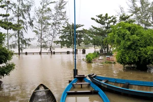 Bình Định - Phú Yên: Mưa lũ tiếp tục hoành hành, nhiều địa phương chìm trong "biển lũ"