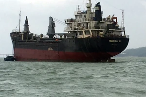 Cận cảnh cuộc giải cứu tàu đắm, mắc cạn ở vịnh Quy Nhơn