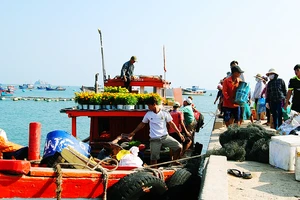 Tết sớm ở đảo biển Nhơn Châu
