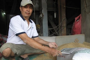 Chủ máy xay xát ở Bình Định đã tìm thấy người quên vàng trong bao lúa