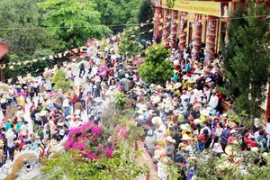 Hàng vạn người kéo nhau lên núi ngắm tượng Phật ngồi cao nhất Đông Nam Á