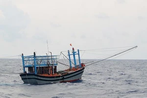 Một ngư dân Bình Định tử vong do tai nạn lao động trên biển