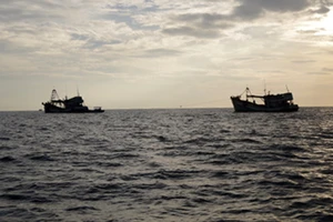 Hai ngư dân tàu cá Bình Định mất tích trên biển chưa rõ nguyên nhân
