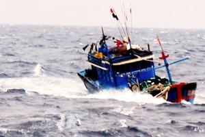 Tàu cá chở 8 cán bộ Viện Hải dương học và 4 ngư dân bị kẹt trong vùng nước xoáy