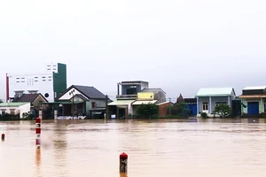 Mưa lũ gây thiệt hại nặng nề tại Bình Định