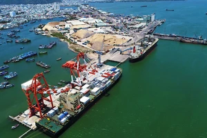 Cận cảnh tấn hàng thứ 8 triệu thông cảng Quy Nhơn