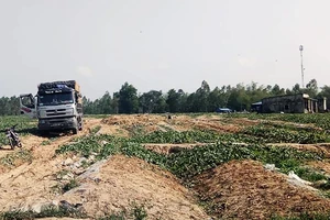 Chủ cho vay nặng lãi “vây” ruộng dưa của nông dân Bình Định để đòi nợ