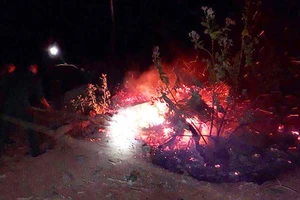 Cháy rừng bạch đàn tại Bình Định cũng do đốt rác