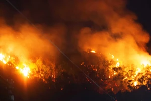 Núi giữa thành phố Quy Nhơn bùng lửa, uy hiếp hàng trăm hộ dân
