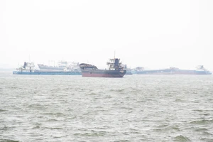 Bình Định tạm cách ly bờ đối với 5 tàu biển, sẵn sàng lập bệnh viện dã chiến
