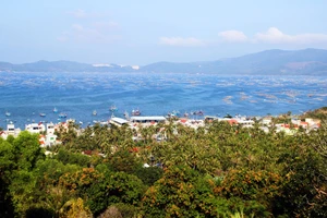 Điều chỉnh khu vực bảo vệ 4 di tích tại Phú Yên