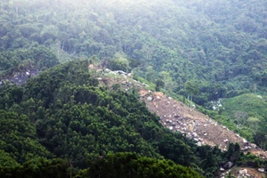 60,9ha rừng bị phá ở An Lão sẽ giao lại cho Bộ Chỉ huy Quân sự quản lý