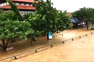 Nhiều vùng dân ở Quảng Ngãi bị ngập lụt, chia cắt