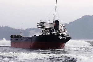 Tàu chở gần 2.000 tấn bột mì bị nạn trên vùng biển Đề Gi