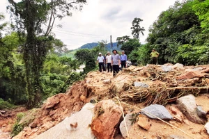 Cần đánh giá kỹ lưỡng tình trạng sạt lở tại huyện miền núi Vĩnh Thạnh, Bình Định
