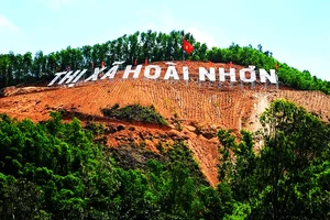 Khẩn trương trồng lại rừng ở công trình “khoét núi” thị xã Hoài Nhơn