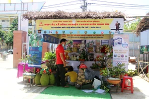 Độc đáo lễ hội nông sản lớn nhất Bình Định