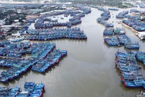 Bình Định đề nghị Bộ Công an điều tra đường dây “cò” môi giới đánh cá trái phép