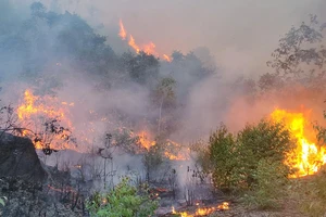 Khống chế đám cháy lớn ở núi Vũng Chua, TP Quy Nhơn