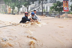 Bí thư Tỉnh ủy Bình Định chỉ đạo chống ngập khẩn cấp ở đô thị biển Quy Nhơn