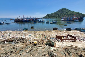 Bình Định kiểm tra, xử lý thông tin Báo SGGP nêu về rác thải biển