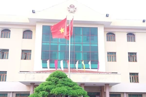Xử lý nghiêm vụ "ngâm" hồ sơ án ở Bình Định