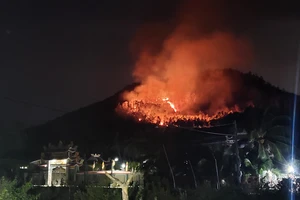 Phú Yên: Liên tiếp xảy ra 2 vụ cháy, thiệt hại 46ha rừng trồng