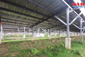 Điện mặt trời “núp bóng” dự án nông nghiệp ở Phú Yên - Bài 2: Loay hoay xử lý 