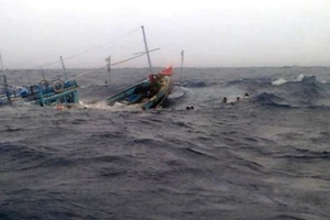 Nỗ lực tìm kiếm tàu cá Bình Định cùng 3 cha con mất tích nhiều ngày trên biển