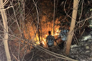 Cháy rừng ở Bình Định: Khoảng 400 người gồng mình dưới nắng gắt để dập lửa