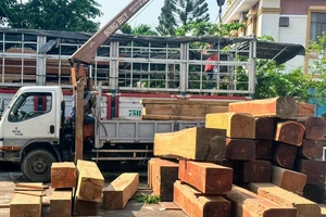 Phú Yên: Kiểm tra xe chở gỗ quý có dấu hiệu vi phạm pháp luật