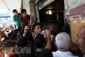 Xung đột Hamas - Israel: WHO cảnh báo tình trạng nhân đạo khẩn cấp tại Dải Gaza