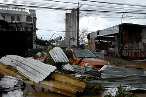 Cảnh tàn phá sau khi bão Otis quét qua Acapulco, bang Guerrero, Mexico. Ảnh: AFP/TTXVN