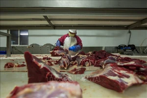 Một xưởng chế biến thịt bò. Ảnh: AFP/TTXVN
