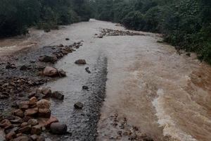 Quảng Trị nhiều người mất tích vì mưa lũ