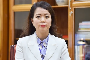 Thứ trưởng Bộ Ngoại giao Nguyễn Minh Hằng: Phát huy vai trò tiên phong của đối ngoại địa phương
