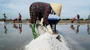 Bà Rịa - Vũng Tàu: Phát triển ngành muối gắn với du lịch nông thôn