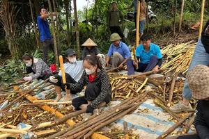 Nan giải tìm vốn, quỹ đất để di dời dân