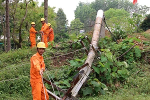 Khắc phục sự cố đường dây cấp điện cho hơn 4000 hộ dân vùng cao Quảng Nam