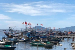 Quảng Nam: Khẩn trương gia cố kè Cửa Đại chạy bão
