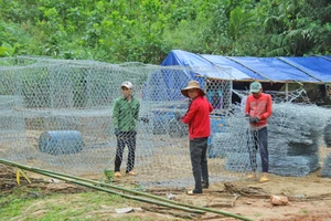 Nỗ lực khắc phục hạ tầng vùng sạt lở tại Quảng Nam