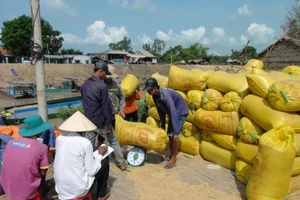 Nâng cao hiệu quả sản xuất lúa cho 8 tỉnh ĐBSCL